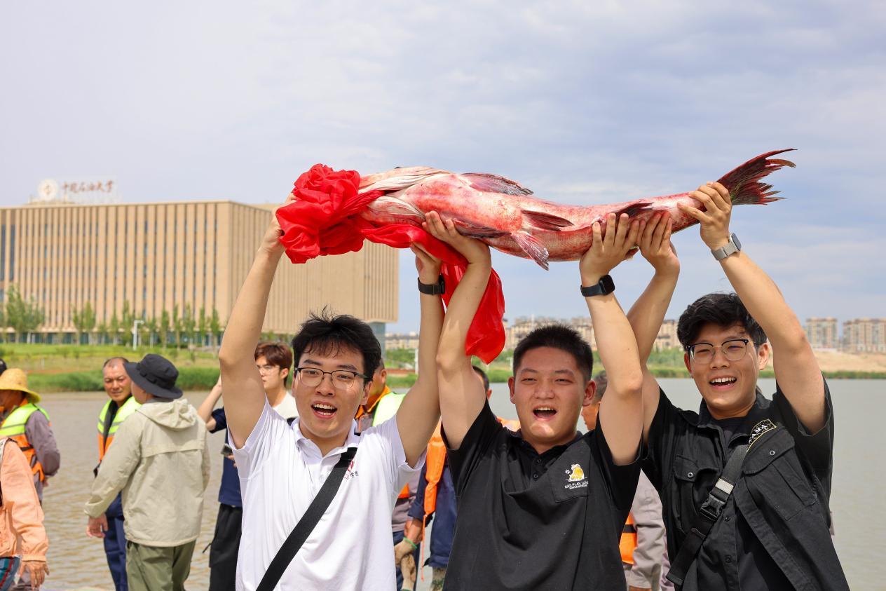 图片1.jpg